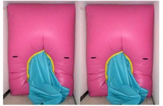 點擊查看詳細信息<br>標題：快速封堵氣囊 閱讀次數：2725