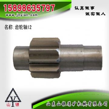 點擊查看詳細信息<br>標題：齒輪軸12 江陰系列配件 閱讀次數：2216