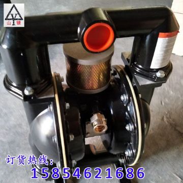 點擊查看詳細信息<br>標題：氣動隔膜泵制造銷售售后氣動隔膜泵一條龍服務 閱讀次數：1658