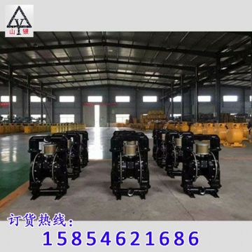 點擊查看詳細信息<br>標題：隔膜泵_氣動隔膜泵_隔膜泵價格_隔膜泵 閱讀次數：1877