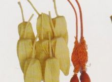 點(diǎn)擊查看詳細(xì)信息<br>標(biāo)題：取氣樣球膽 閱讀次數(shù)：203